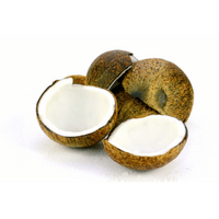 Coconut kernel