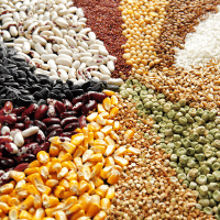 Exploring the World of Grains: Nutritional Powerhouses