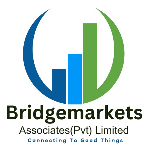 bridgemarketsassociates.com